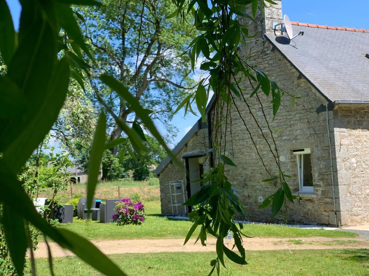 Le Paradis Des Oiseaux Saint-Gildas Exterior photo